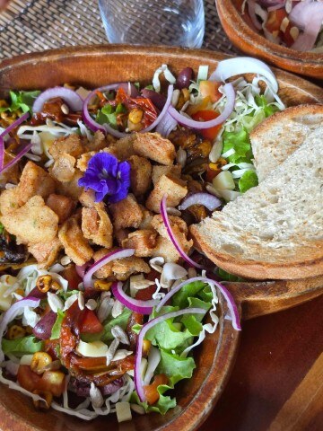 Pollo Salad