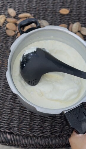 Cow Yogurt